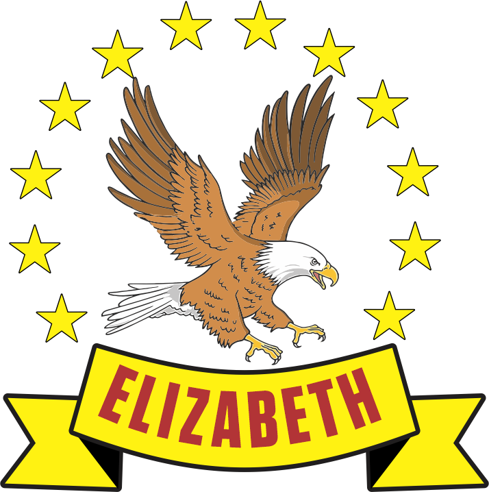 DISTRIBUIDORA & COMERCIALIZADORA ELIZABETH S.R.L.